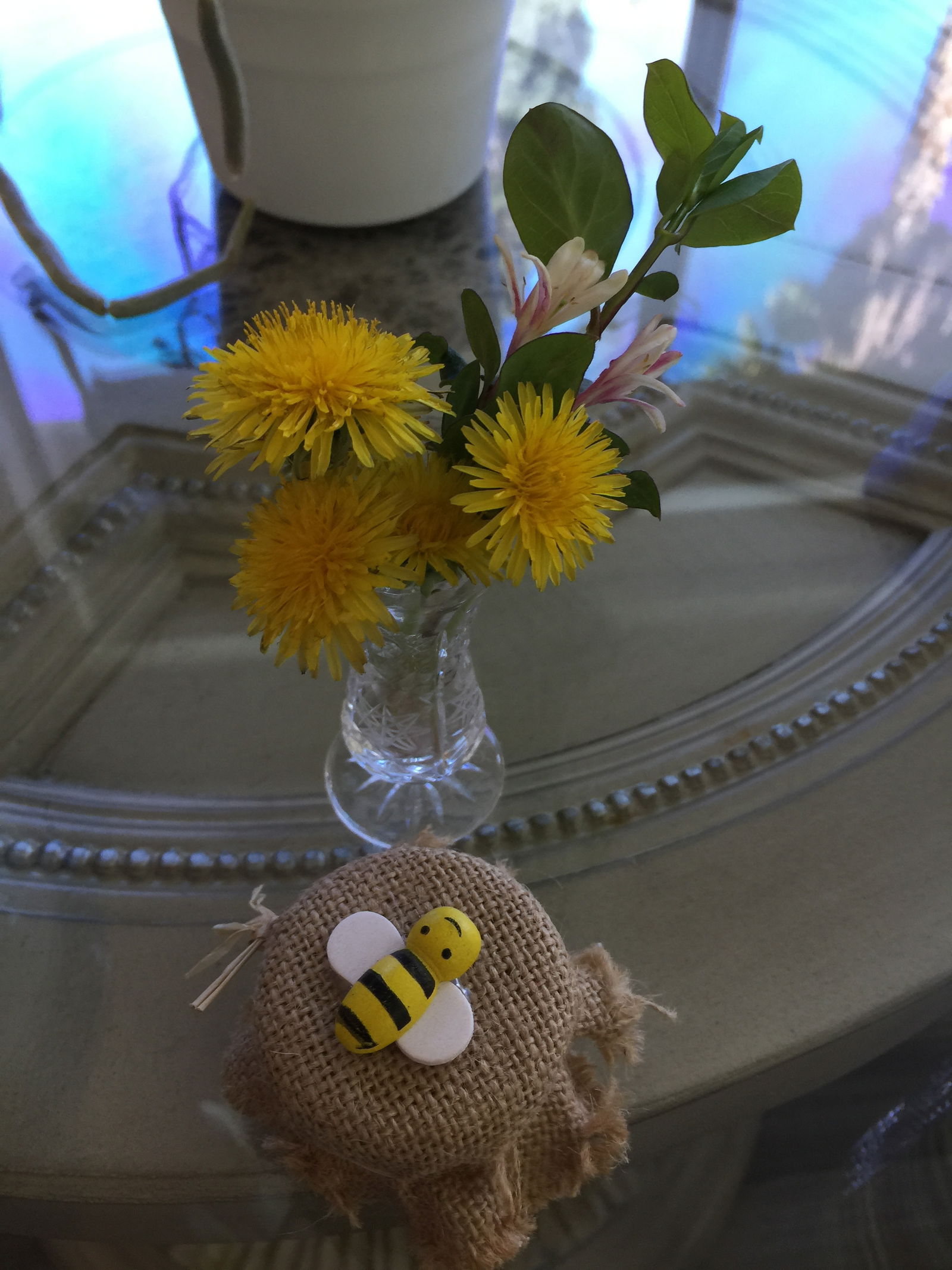 Gastfamilie Las Vegas 235487