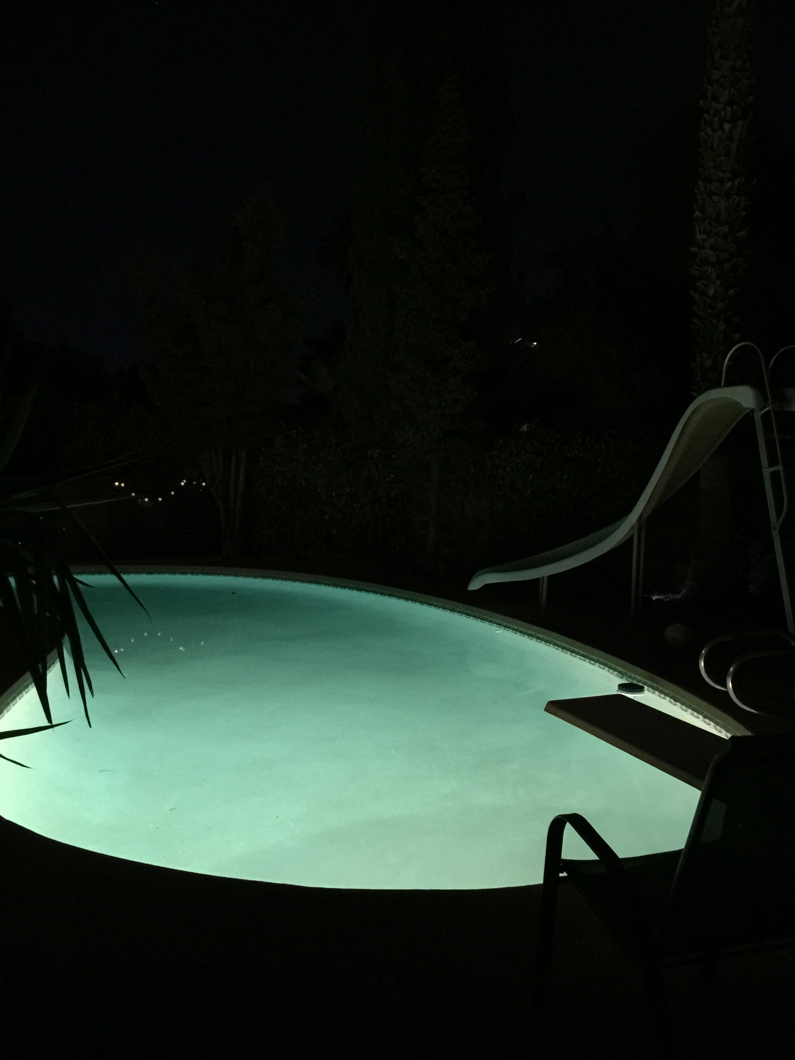 Gastfamilie Las Vegas 235487