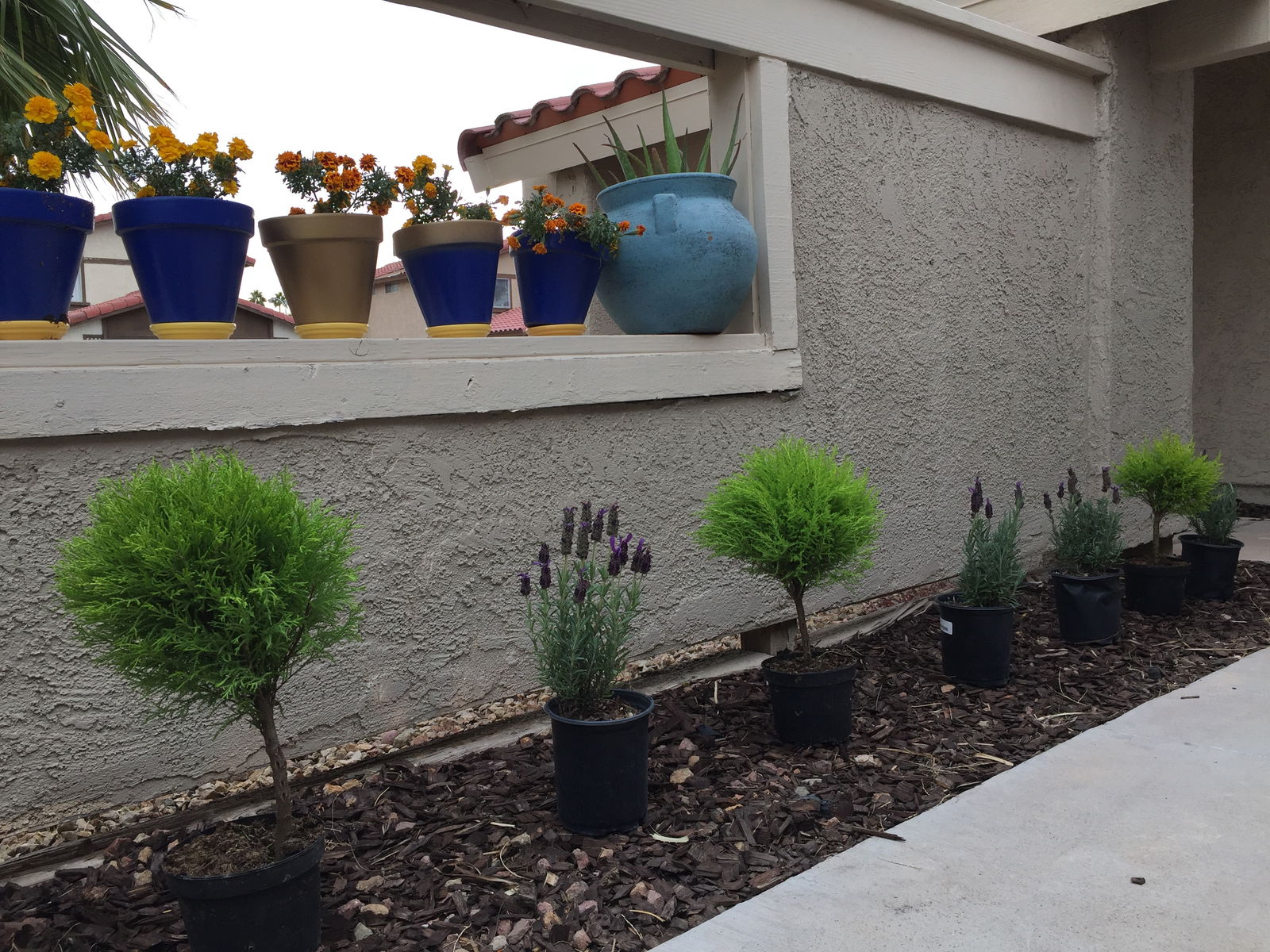 Gastfamilie Las Vegas 235487