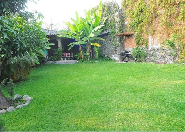 Estudio Independiente Morelos 27994