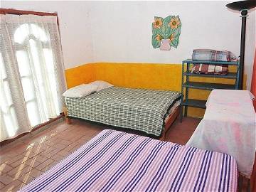 Logement Entier Morelos 27994-4
