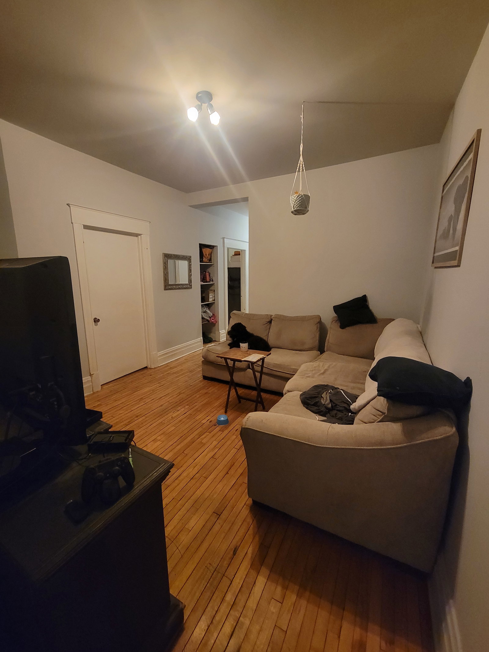 Kolokacja Montréal 659905