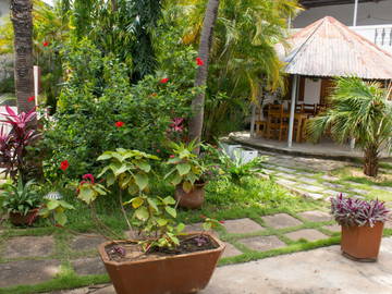 Logement Entier Cotonou 262625-10