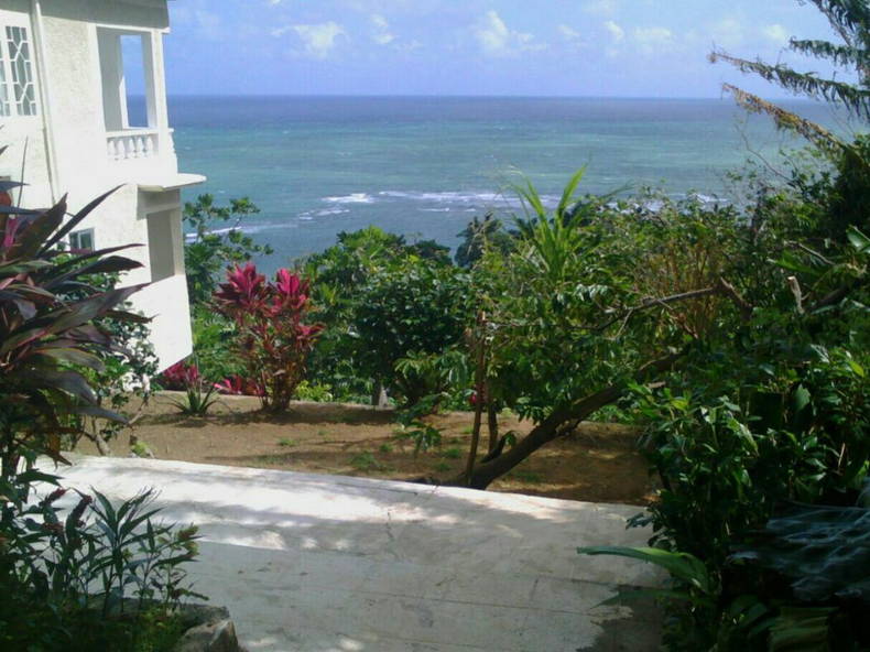 Gastfamilie Port Maria 206133-5