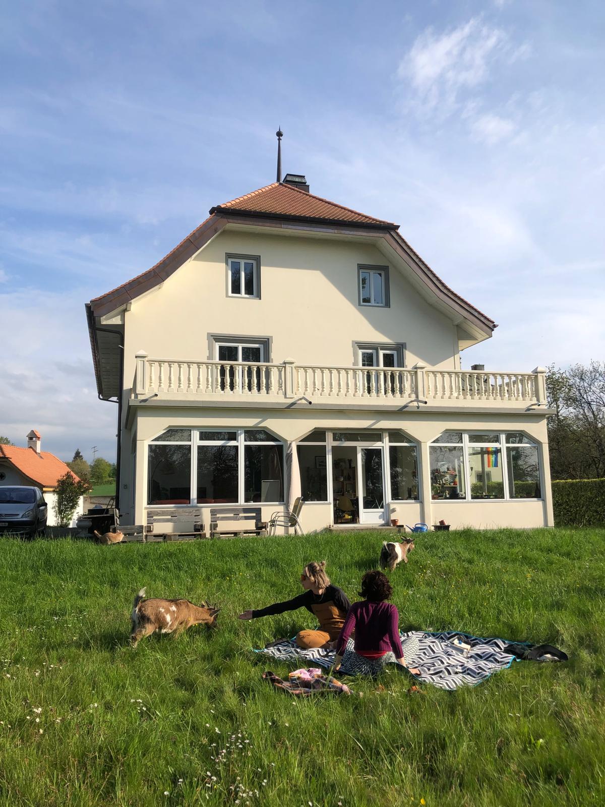 Colocation Givisiez 599574