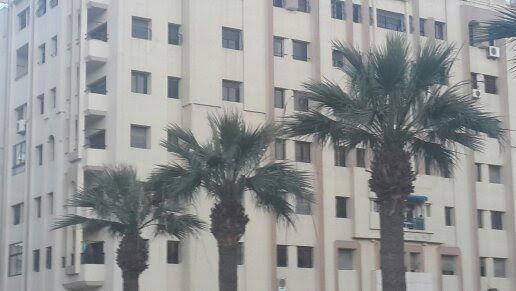 Estudio Independiente Tangier 75327