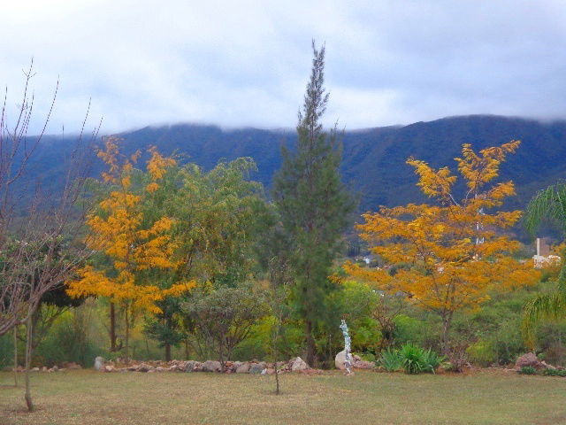 Quedarse En Casa Bialet Massé 151962