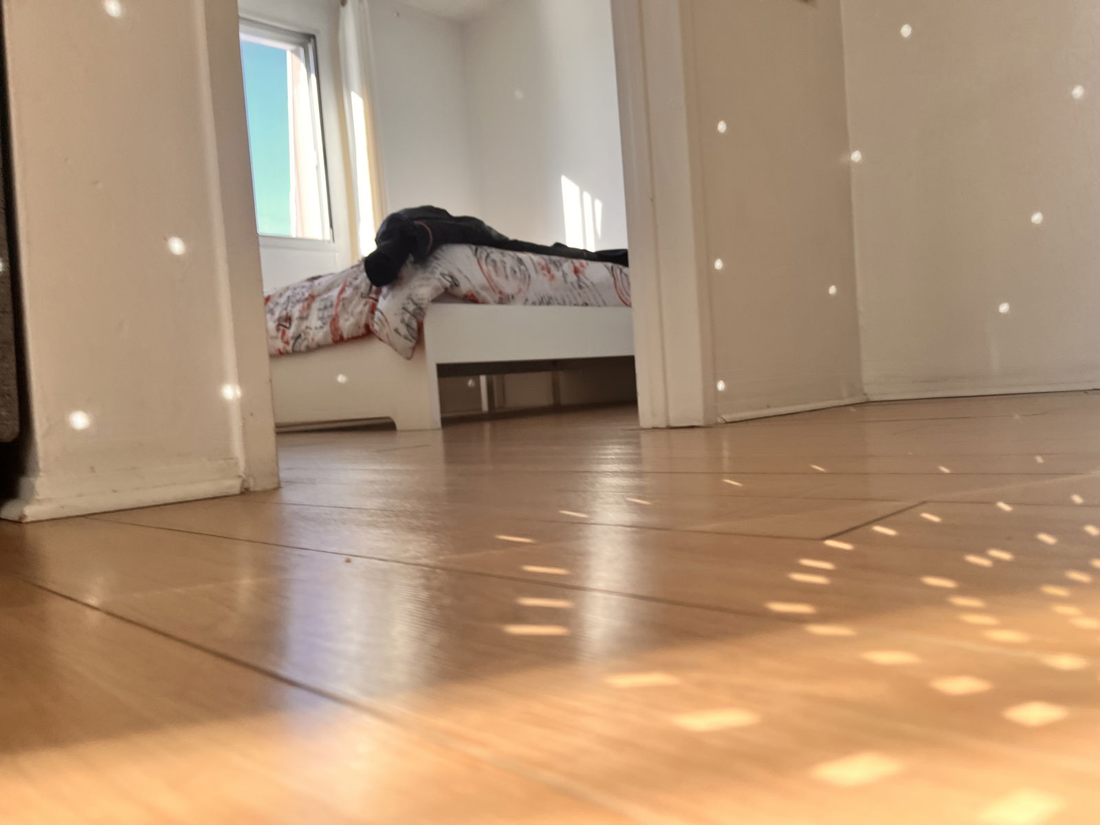 Unabhängiges Studio Brossard 626308