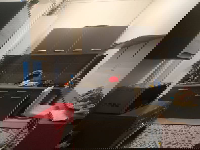 Colocation Sucy-en-Brie 297806-2