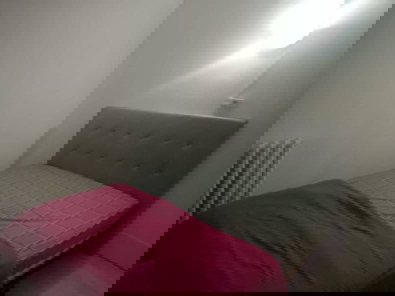 Colocation Sucy-en-Brie 297828-3