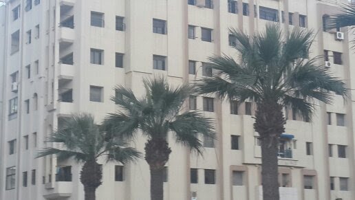 Niezależne Studio Tangier 75327