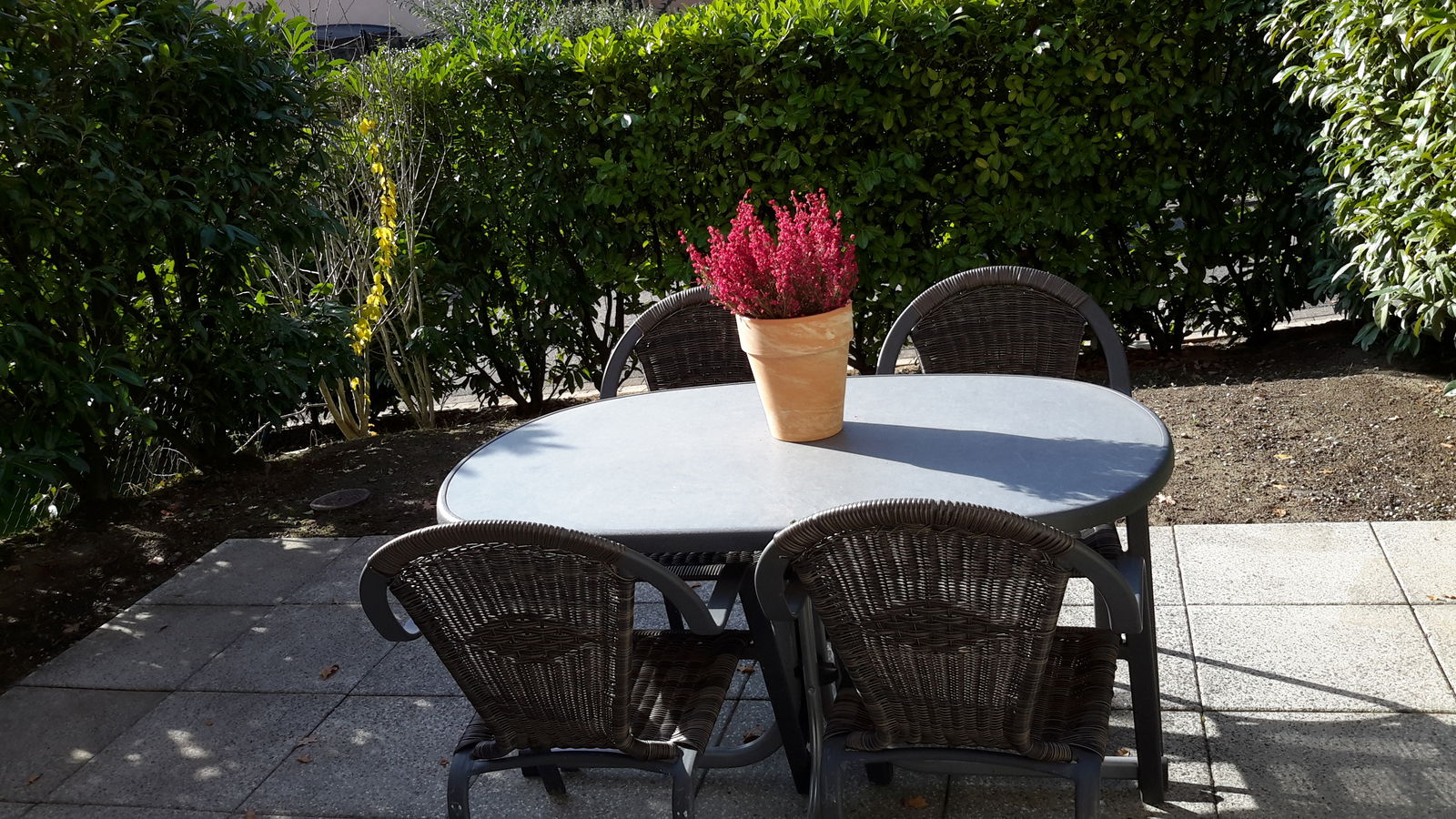 Collocazione Onex 117254