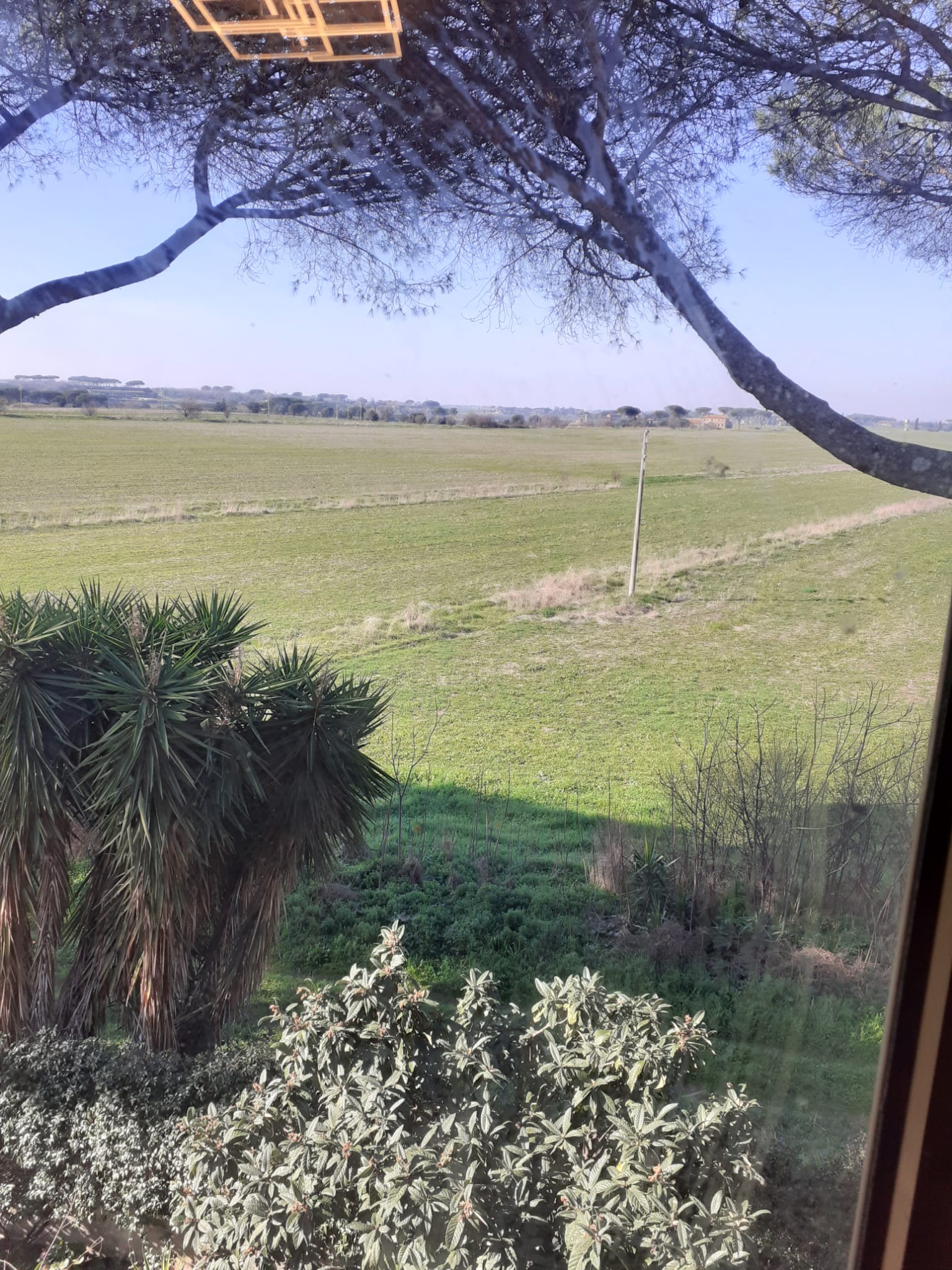 Gastgezin Marino 331633