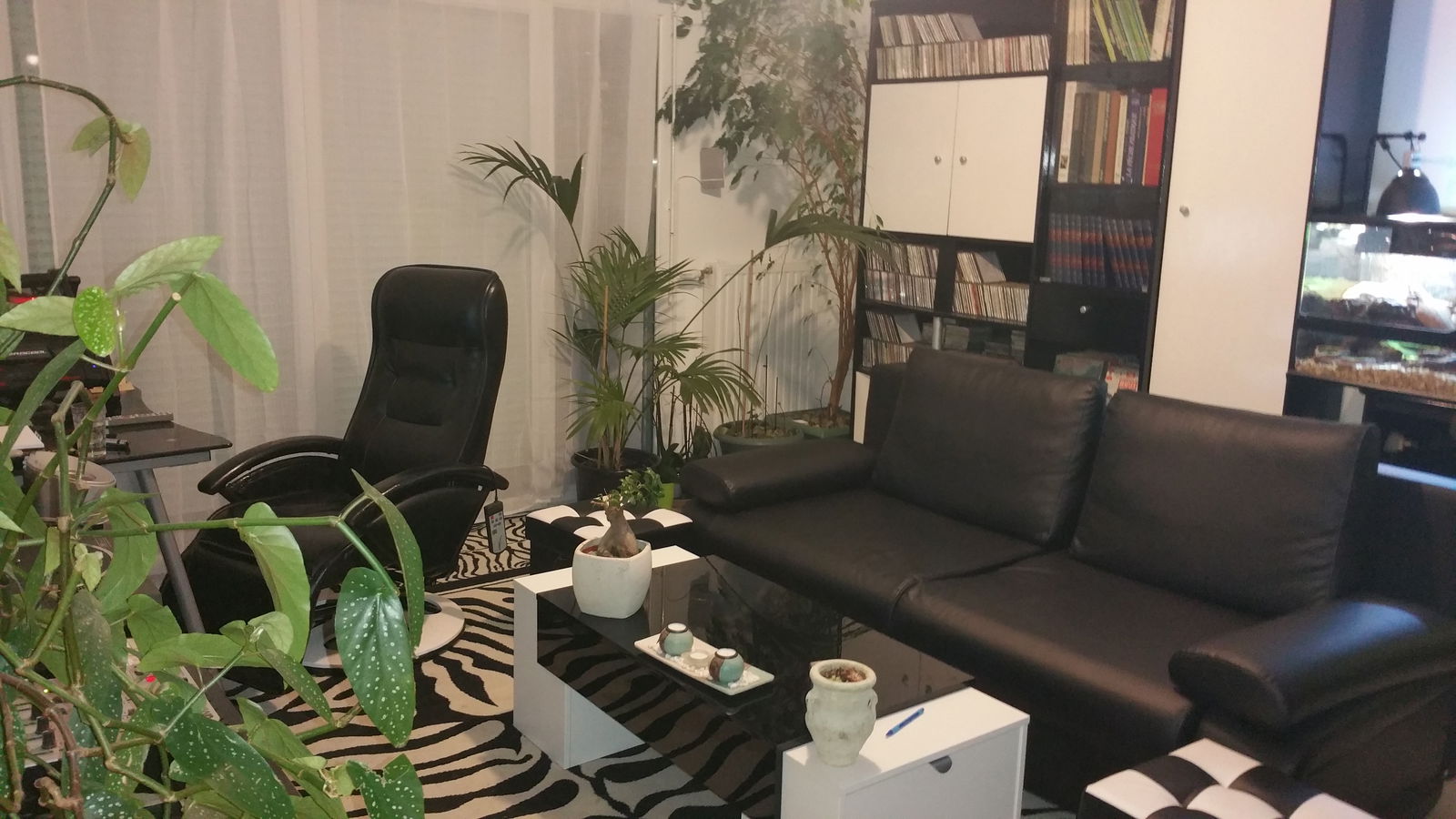 Colocación Le Mée-sur-Seine 128665