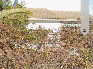 Quedarse En Casa Santa Cruz Del Retamar 634132