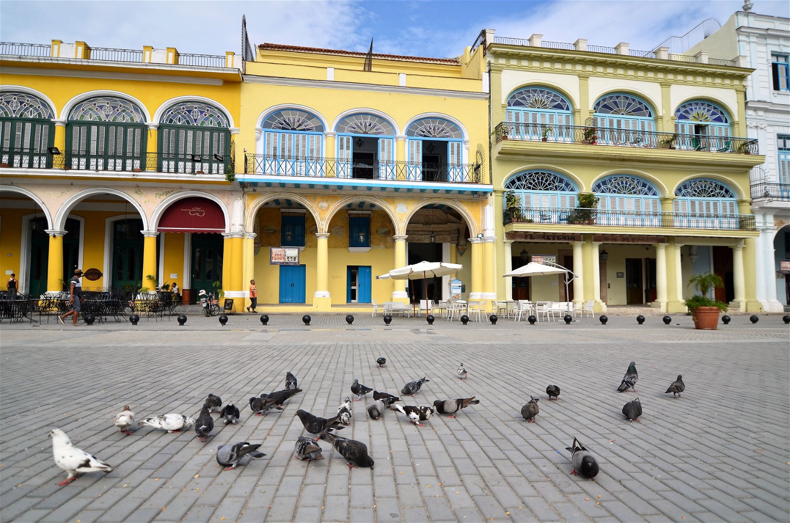 Estudio Independiente La Habana 187151
