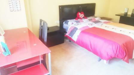 Colocation Oliva 126025