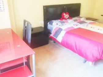 Colocation Oliva 126025-1