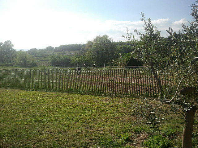 Bed And Breakfast Saint-Maurice-de-Cazevieille 27088