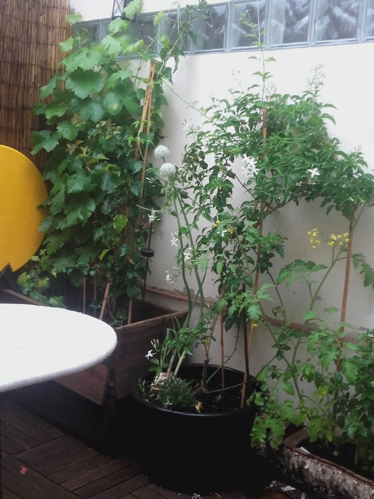 Gehele Woning Sète 97319