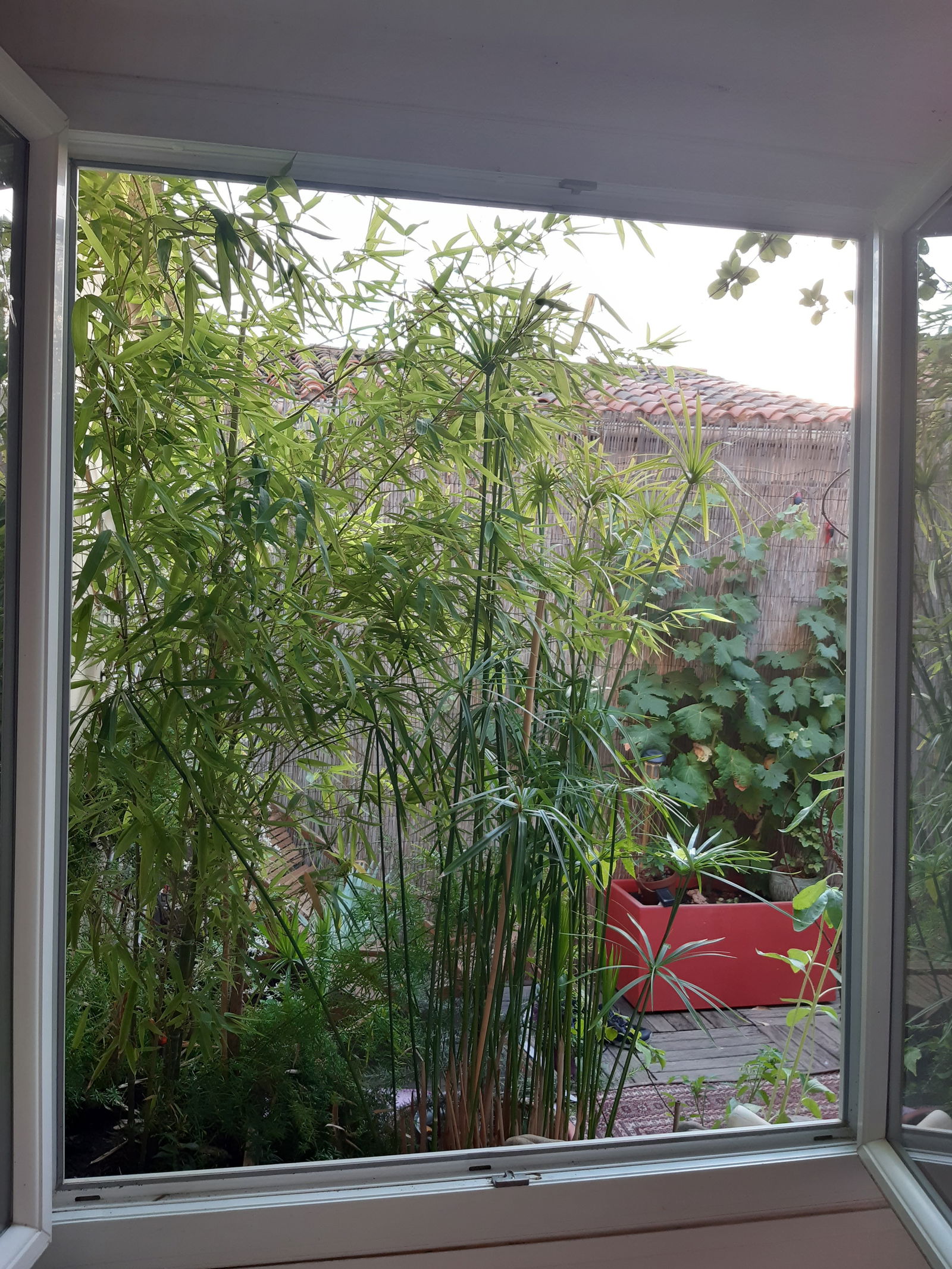 Gehele Woning Sète 78245