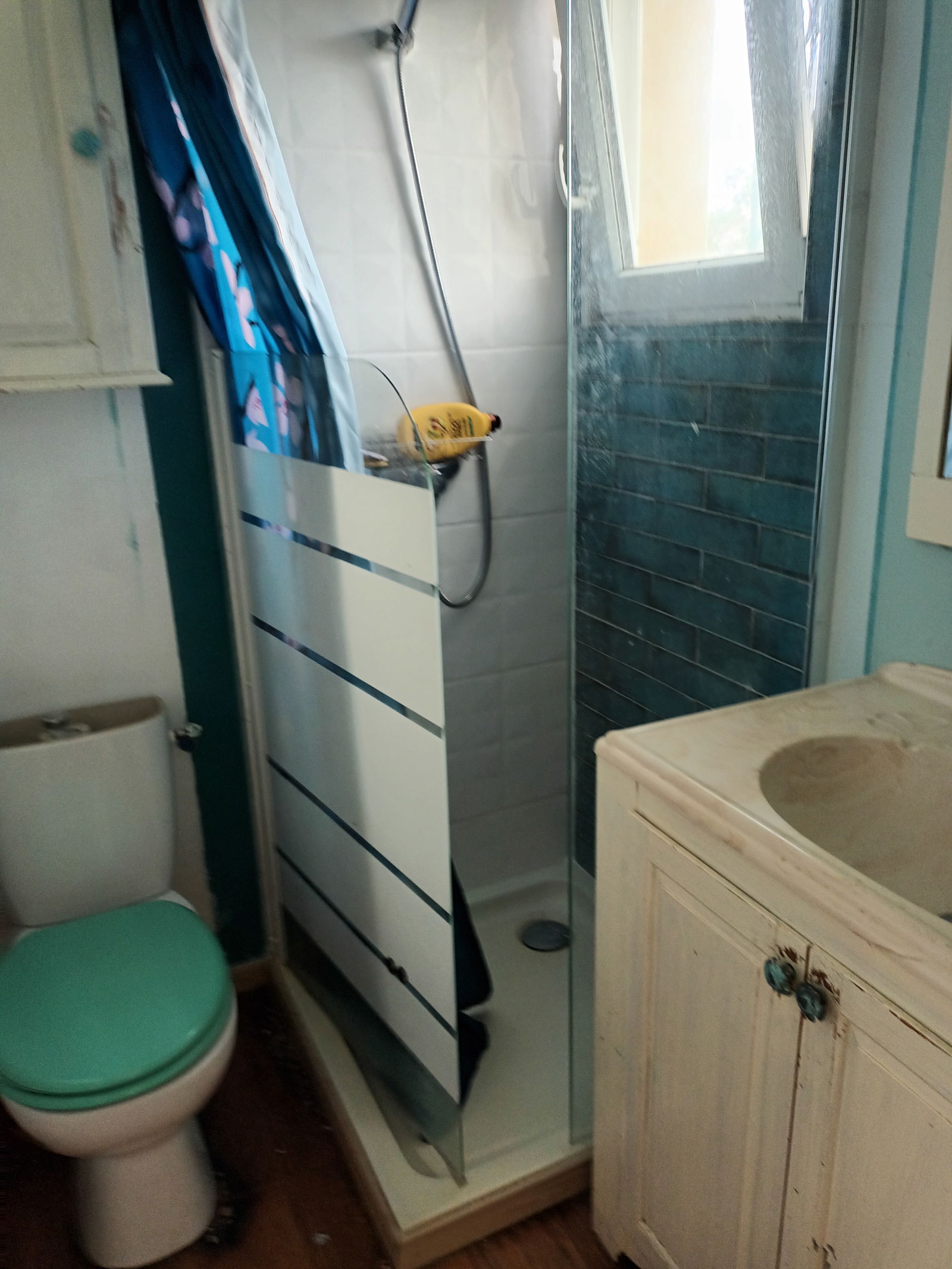 Gehele Woning Venerque 622094