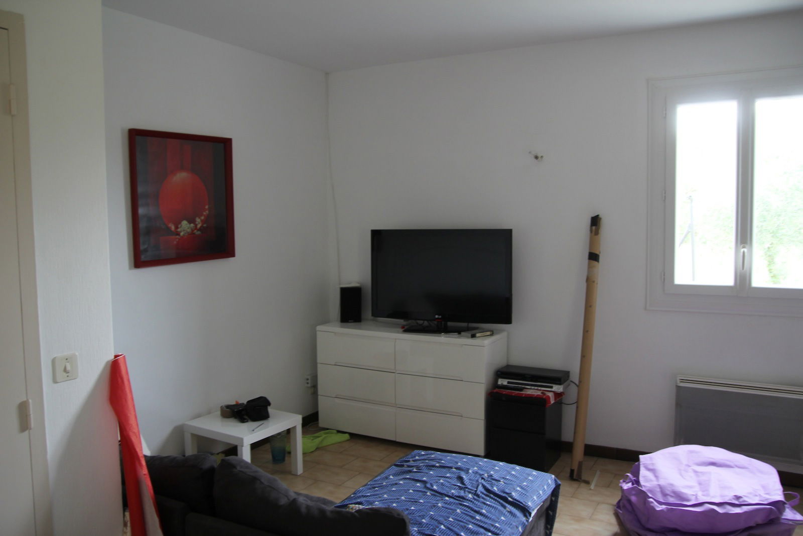 Kolokasie Carpentras 152957