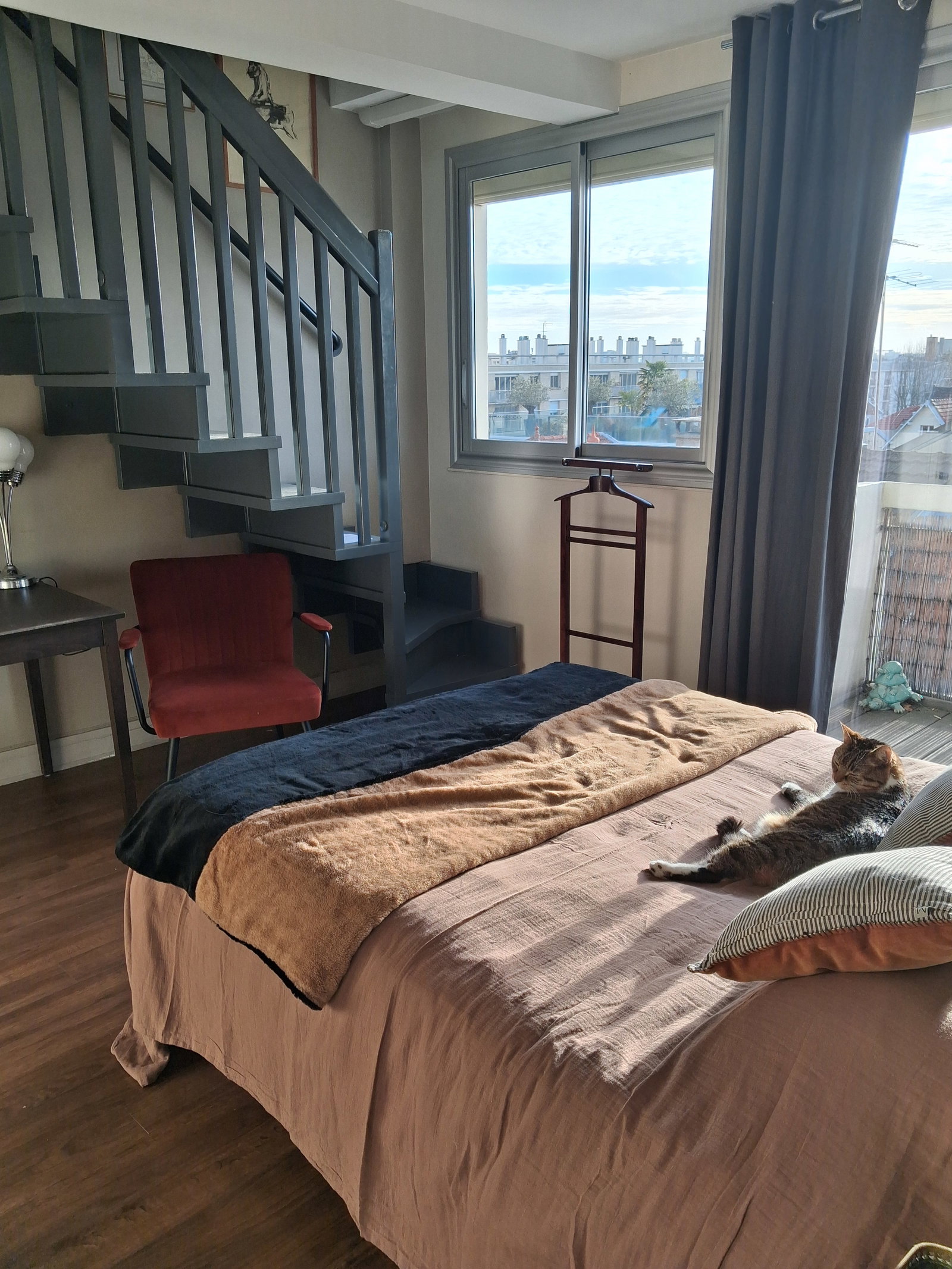 Kolokasie Asnières-sur-Seine 658856