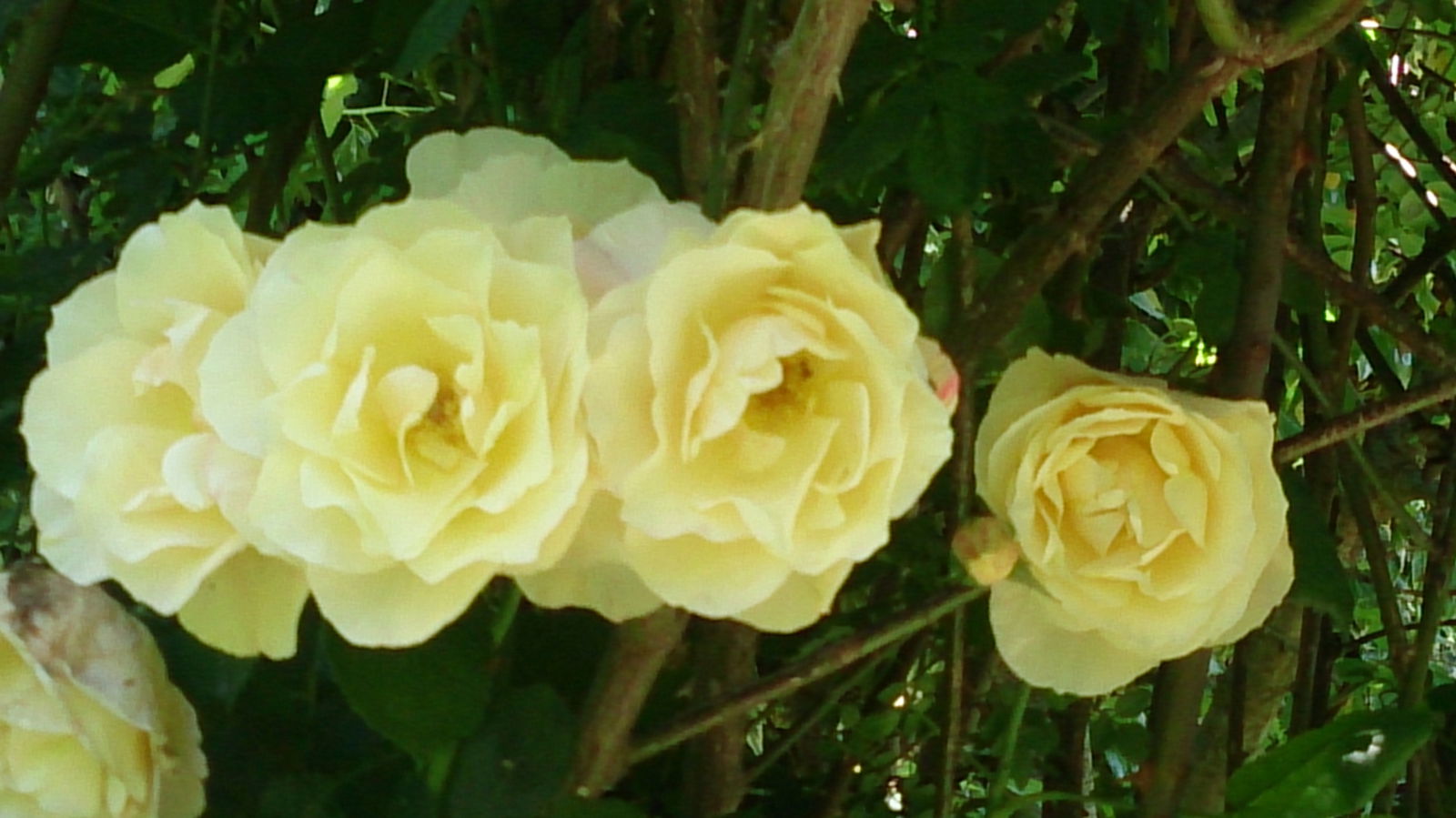 Tuisverblyf Marseille 162219