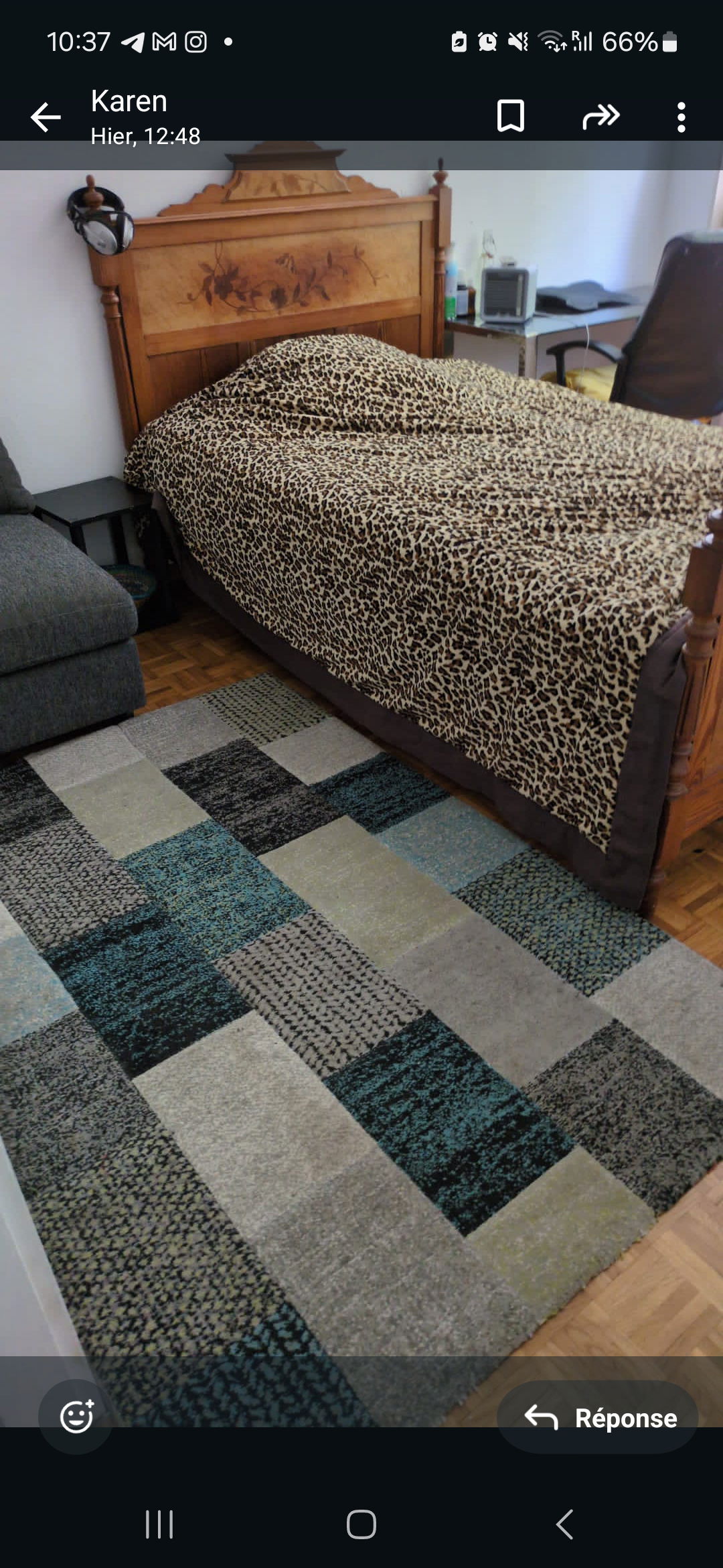 Kolokasie Lausanne 317231