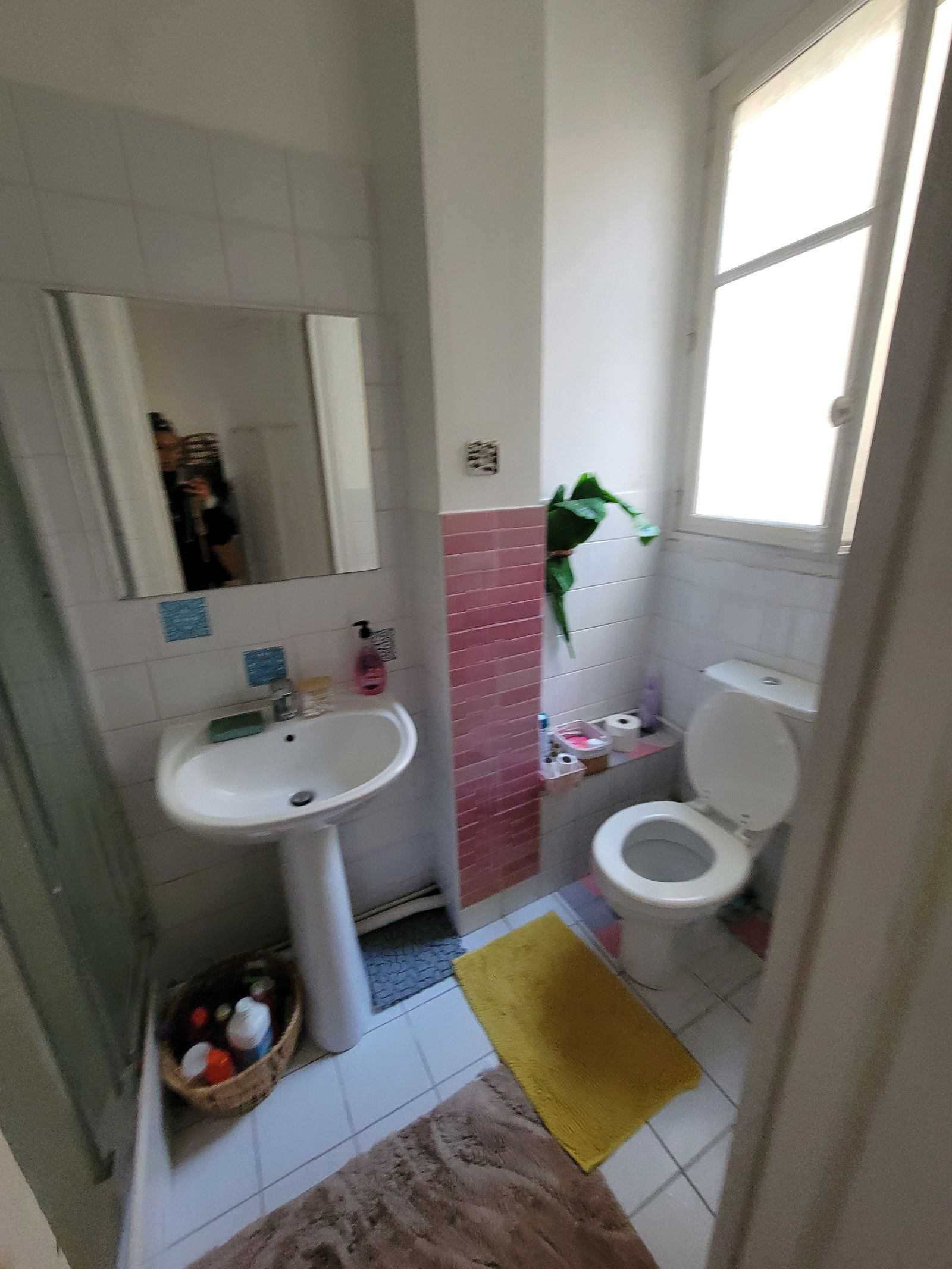 Gastgezin Paris 590601