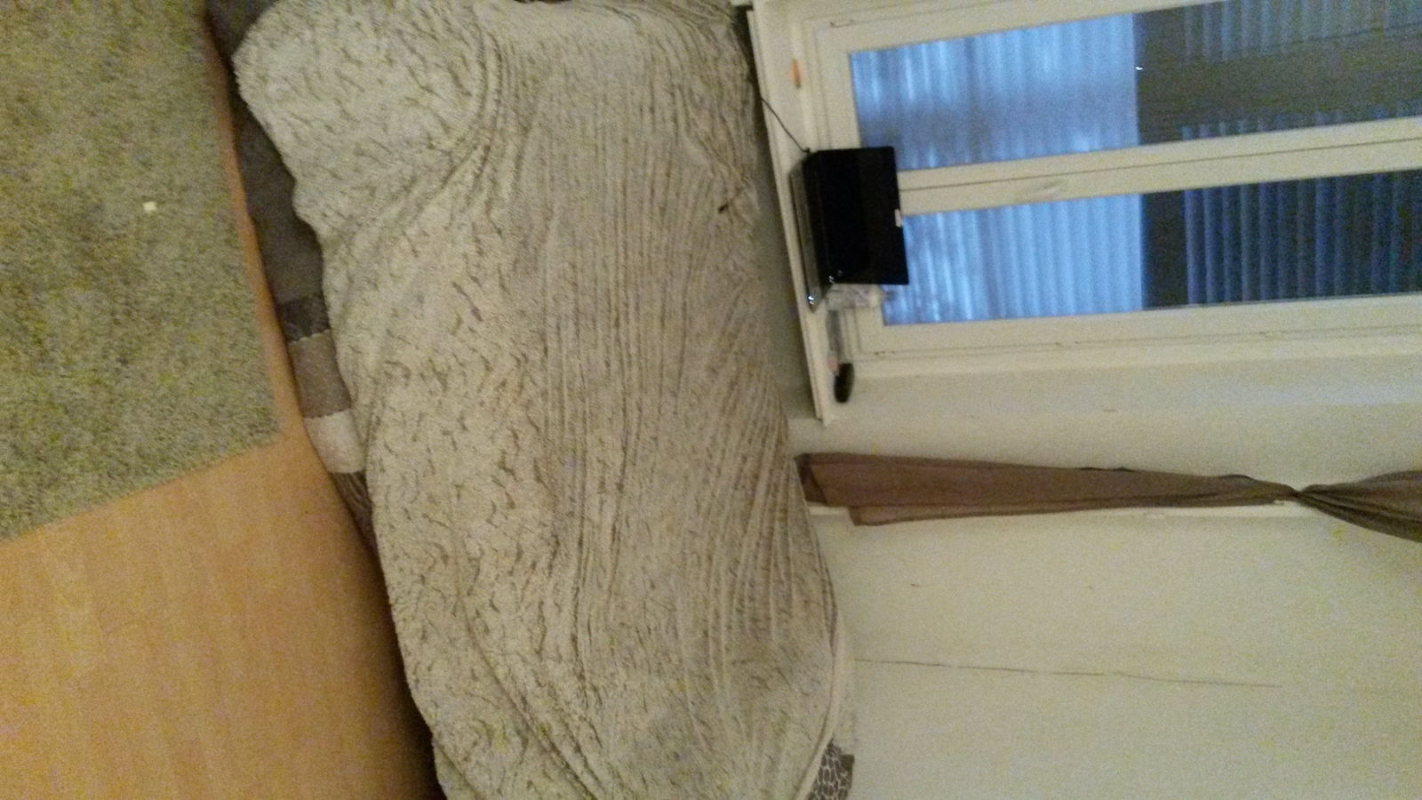 Colocatie Villeurbanne 94365