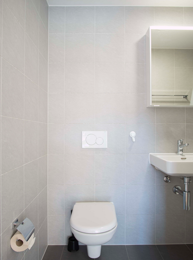 Kolokasie Chavannes-près-Renens 258233