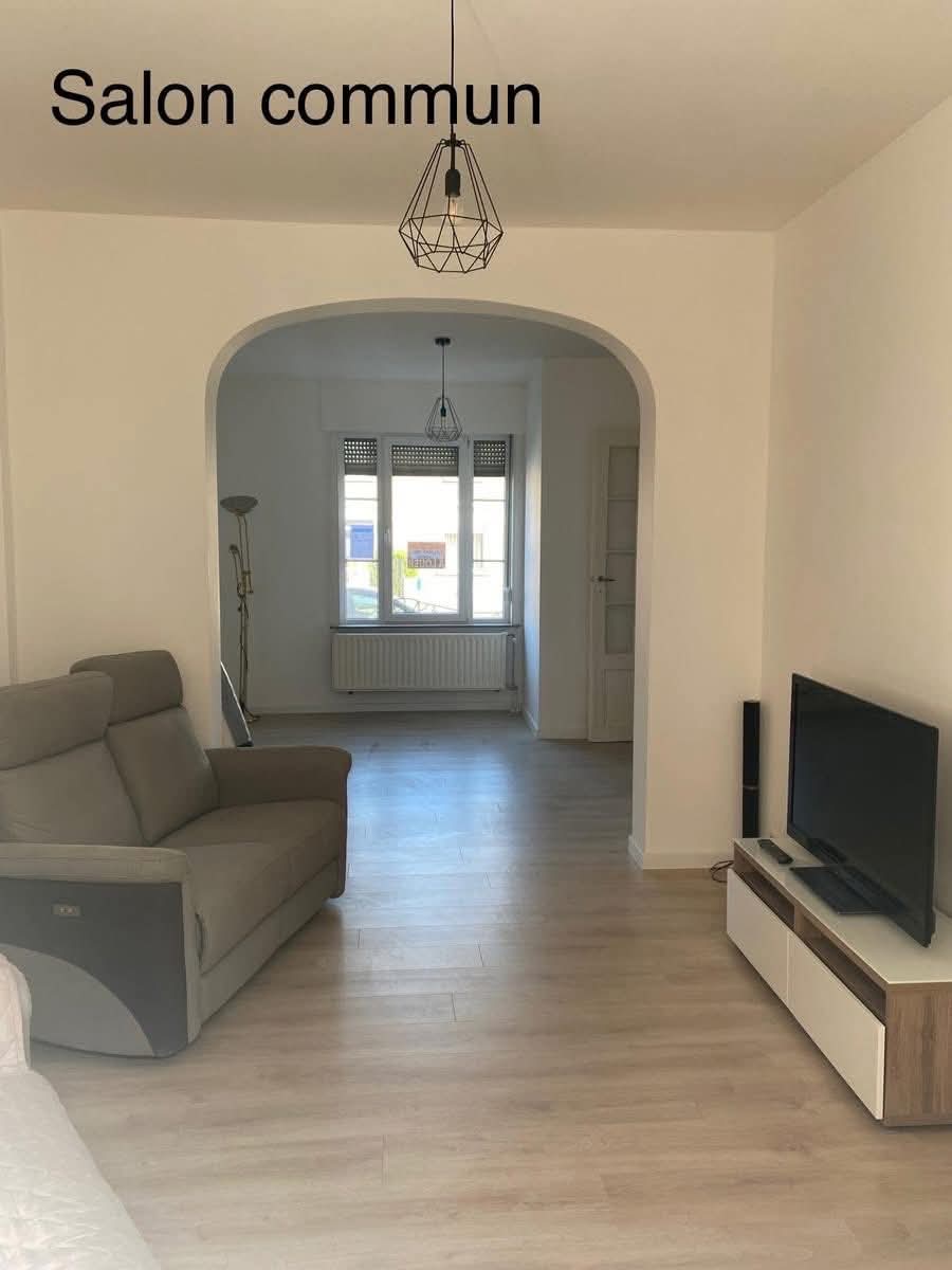 Kolokasie Mons 574720