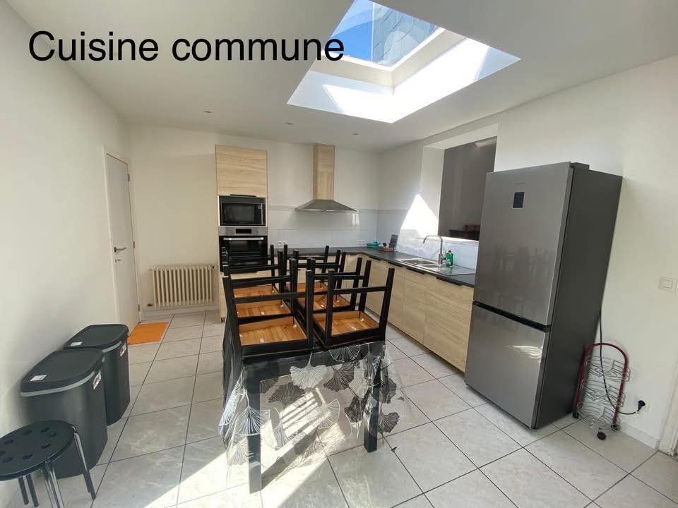 Kolokasie Mons 574720