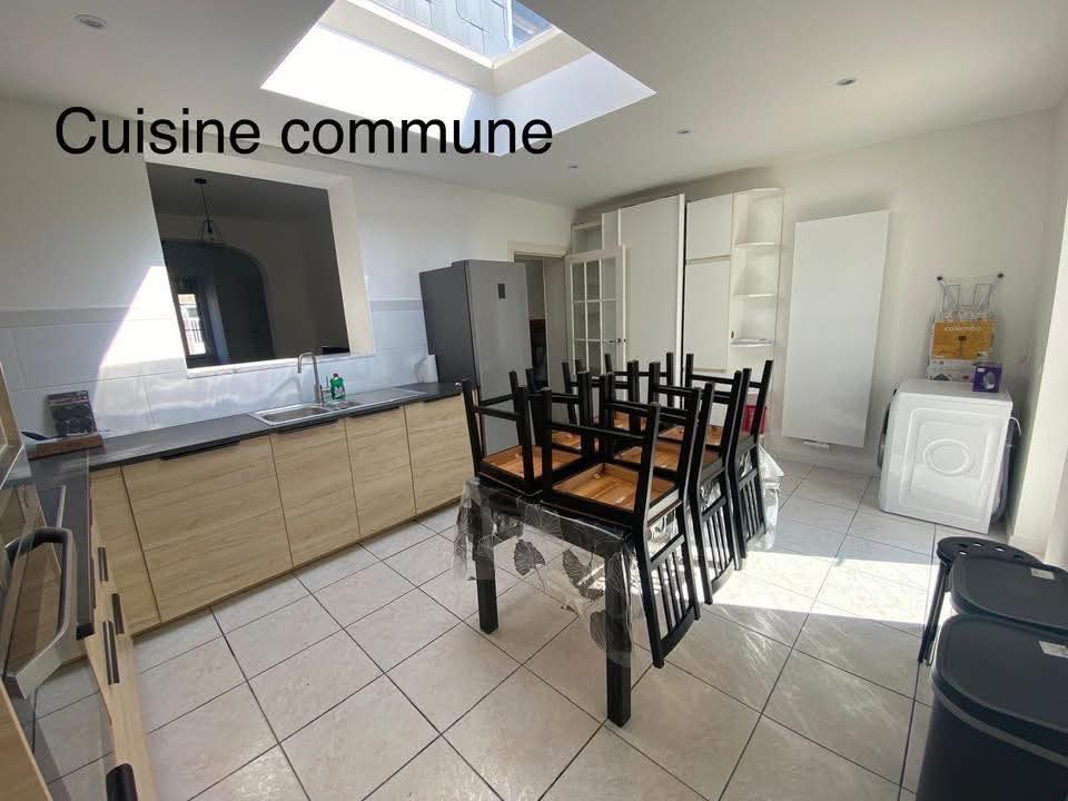 Kolokasie Mons 574720