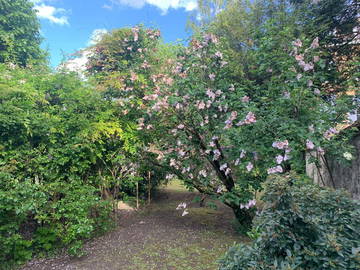 Chambre Chez L'habitant Fontainebleau 245870-5