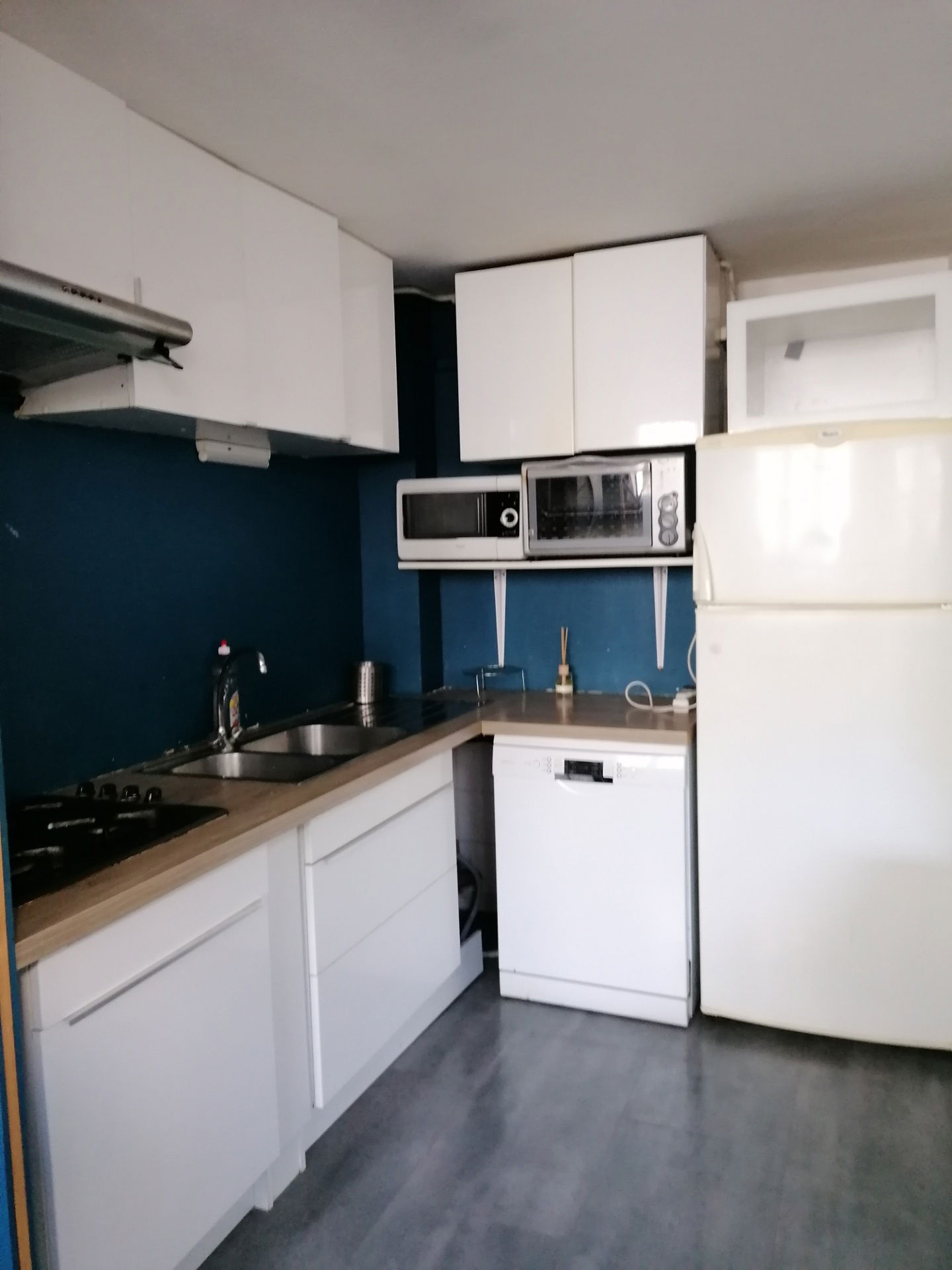 Colocation Lyon 263102