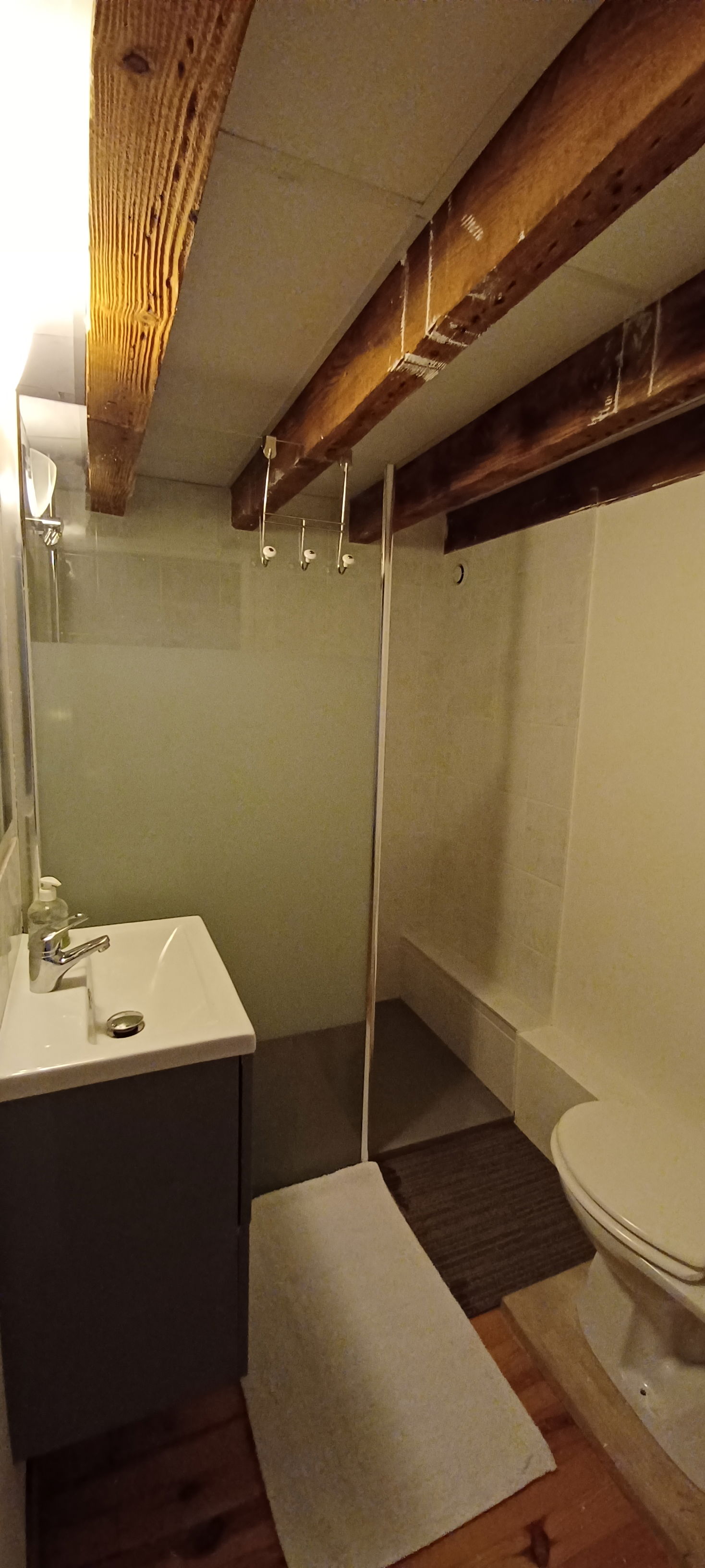 Colocation Lyon 263102