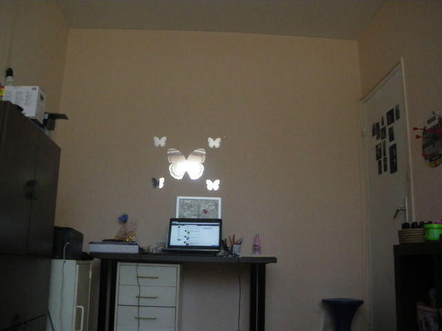 Colocatie Antony 13106