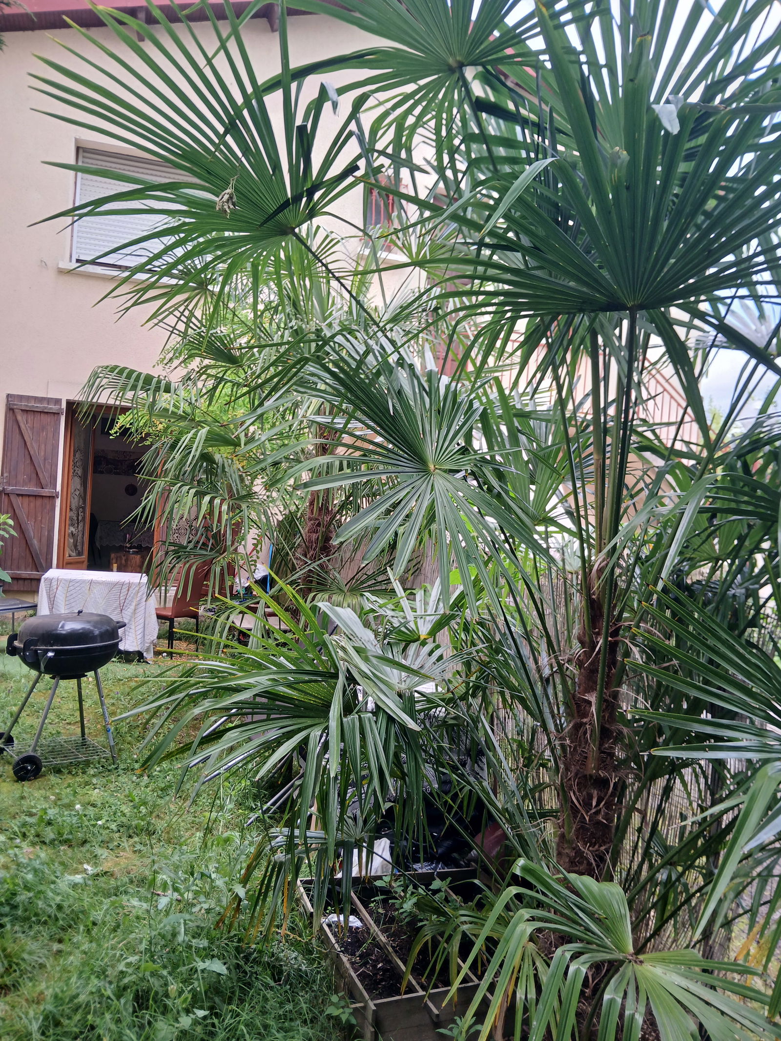 Homestay Toulouse 451253