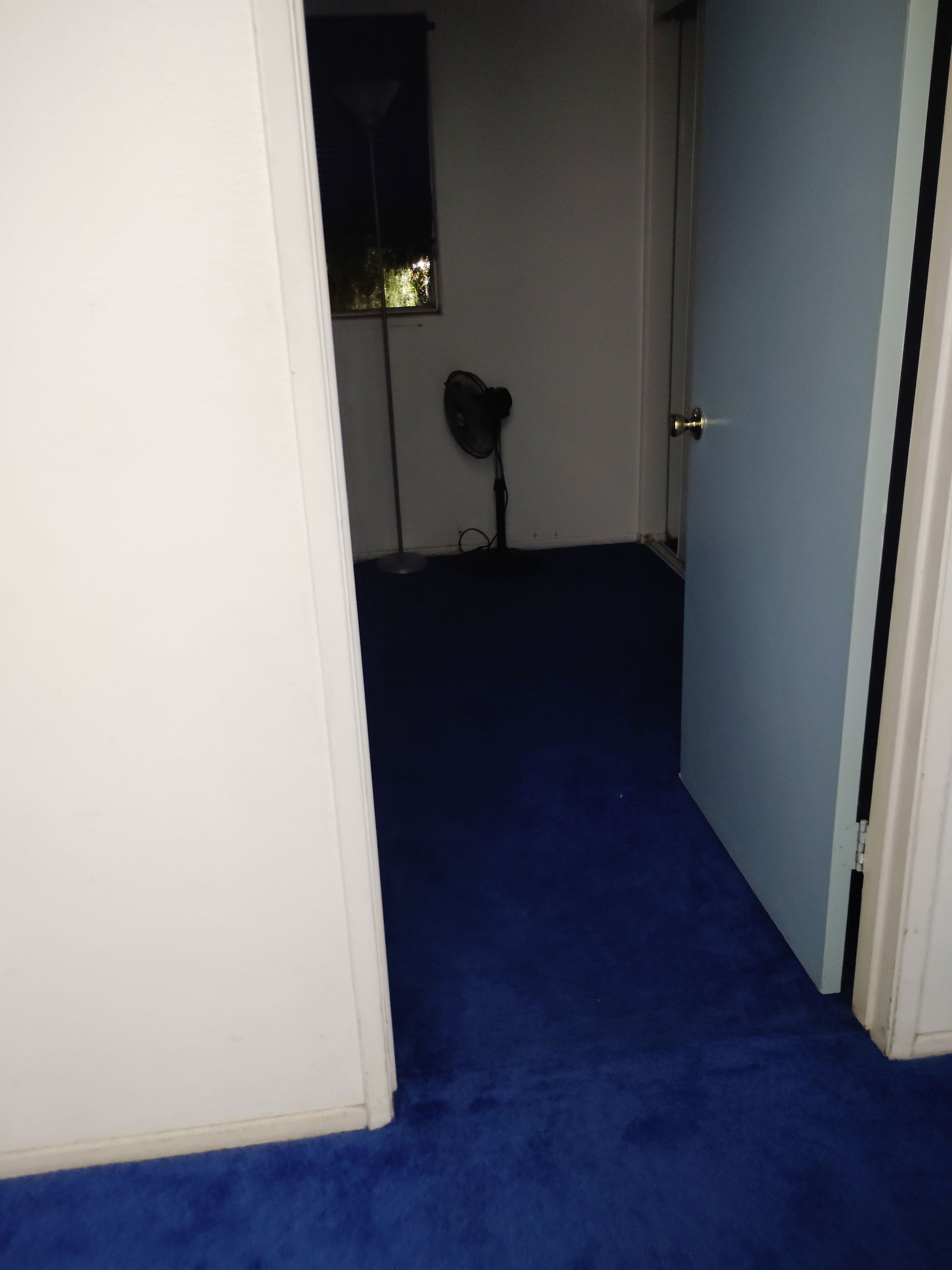 Homestay Los Angeles 179082