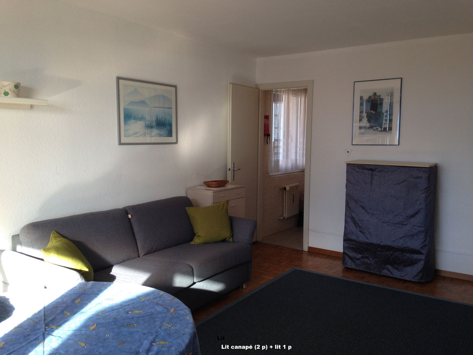 Ganz Haus Montreux 216518