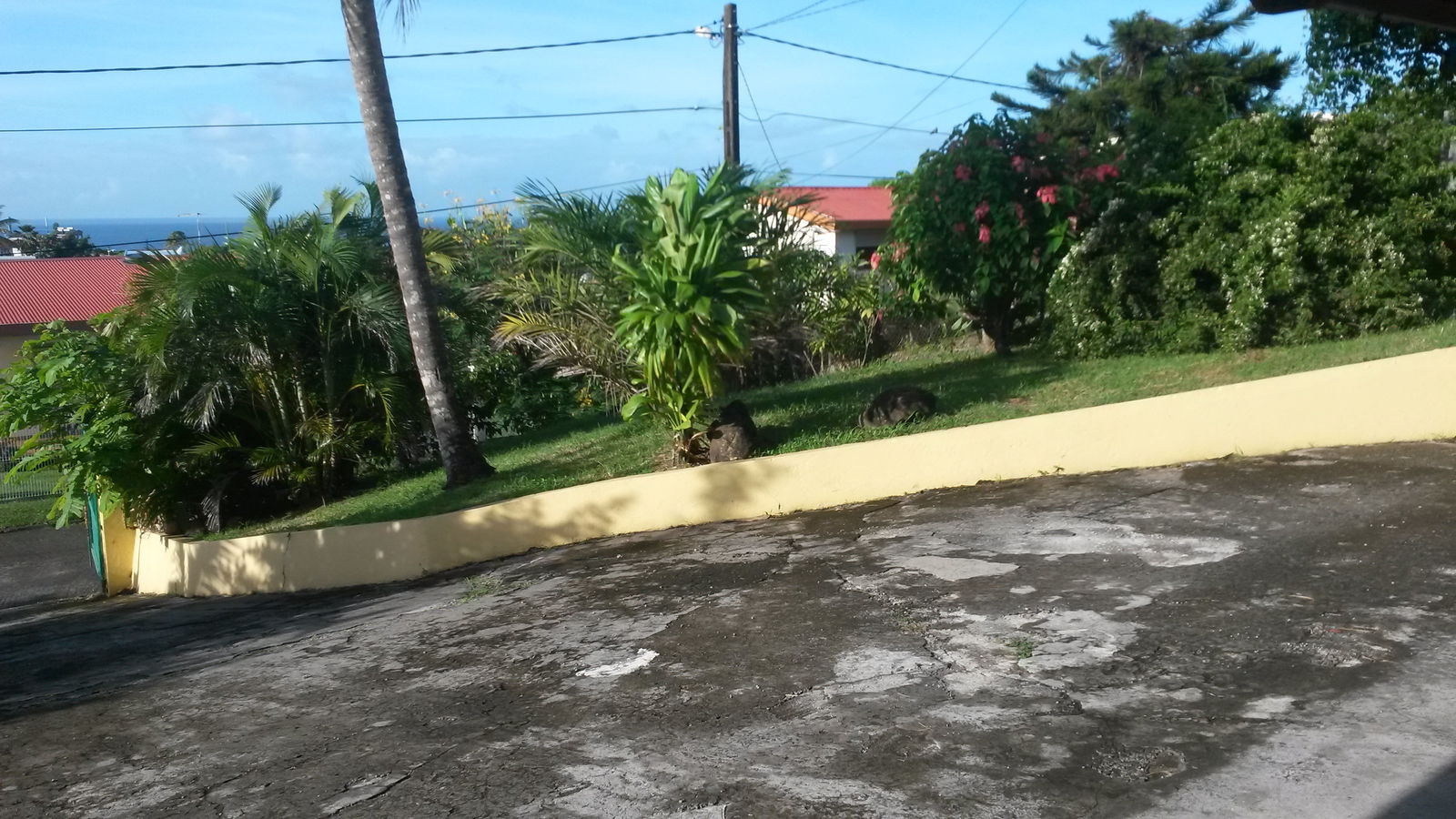 Homestay Schœlcher 117370