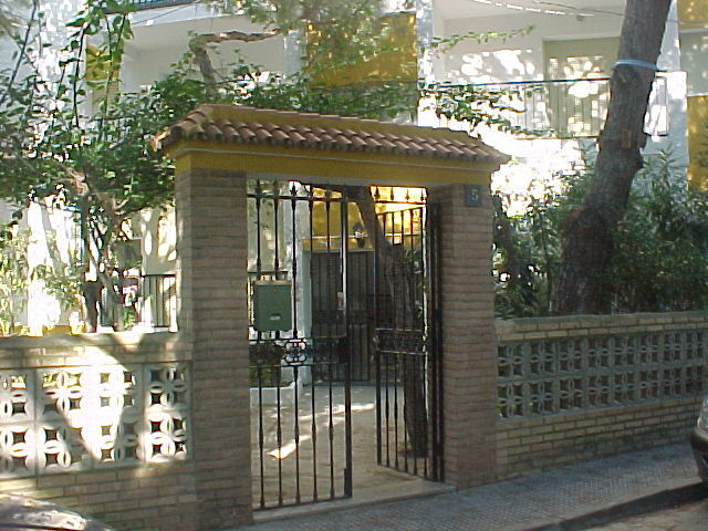 Kolokasie Moguer 124467