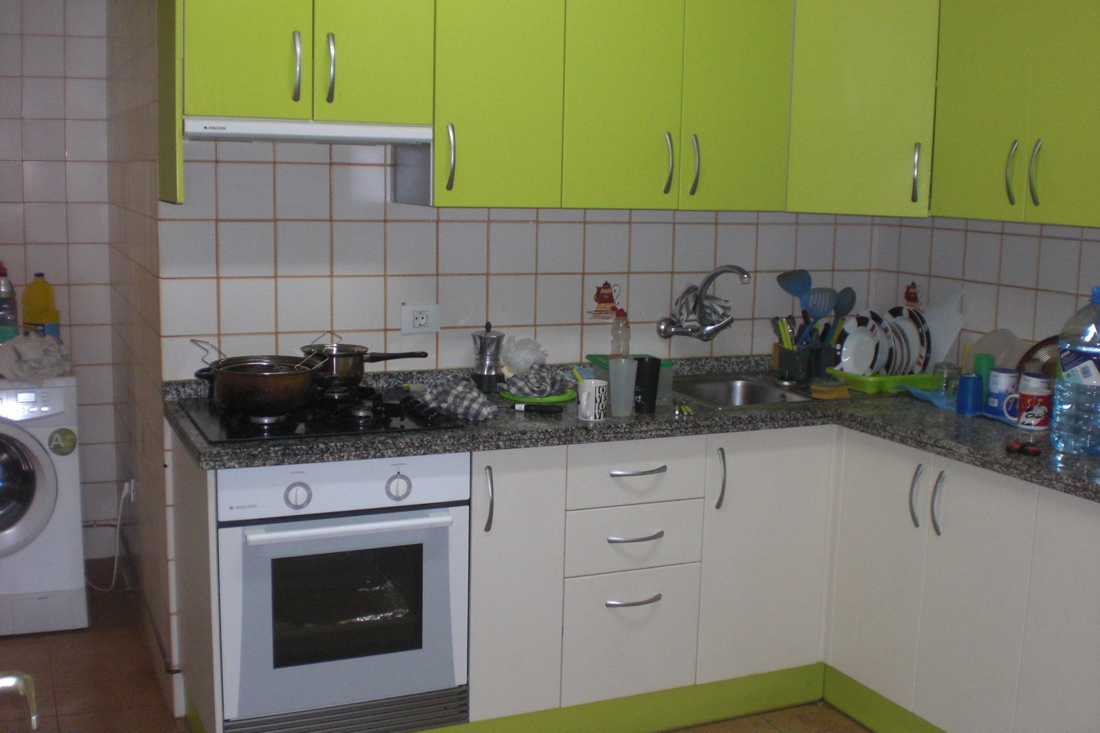 Kolokasie San Cristóbal de La Laguna 81102