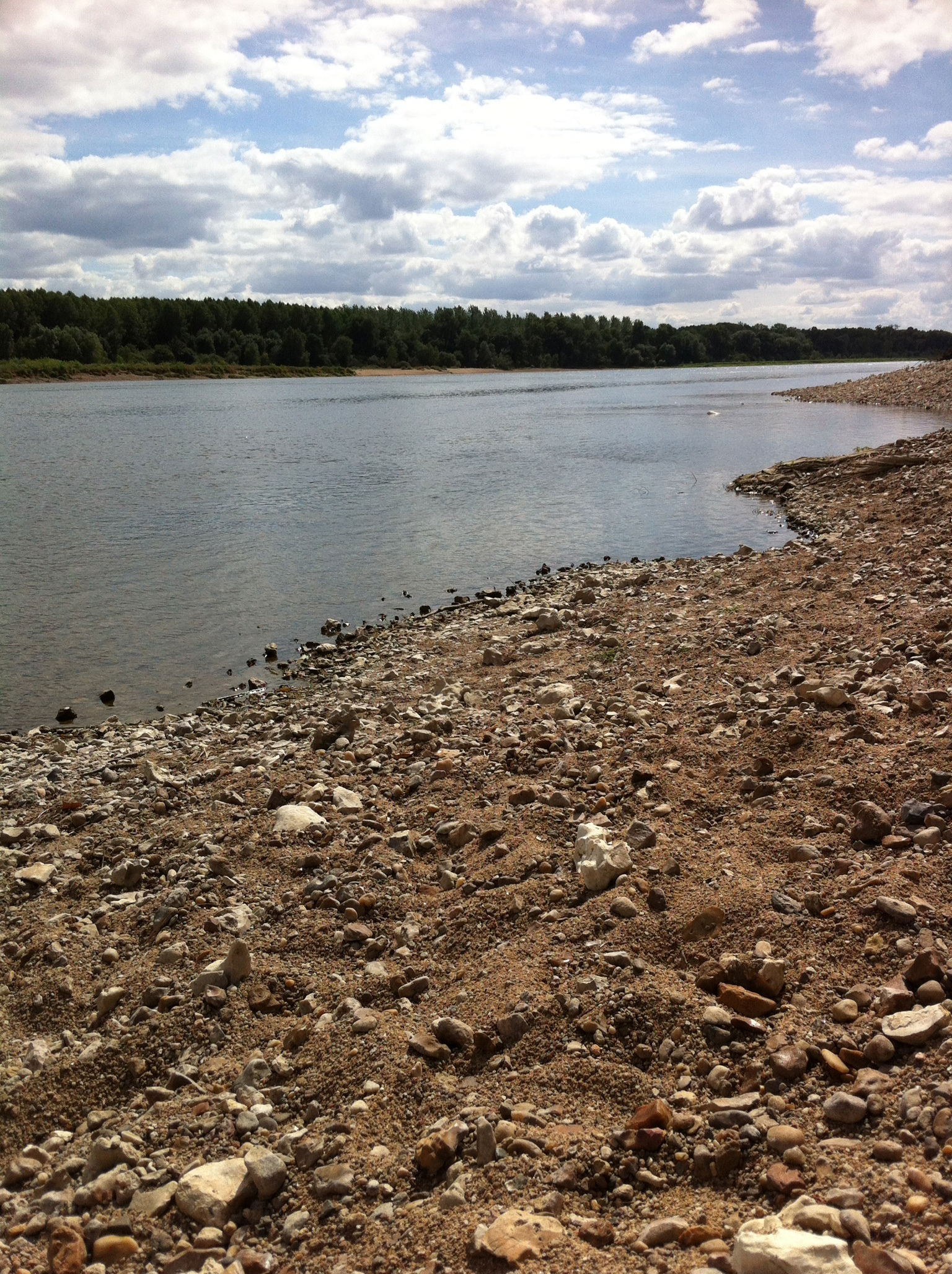 Colocatie Veuves 185463