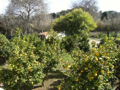 Hele Huis Sardegna 134248