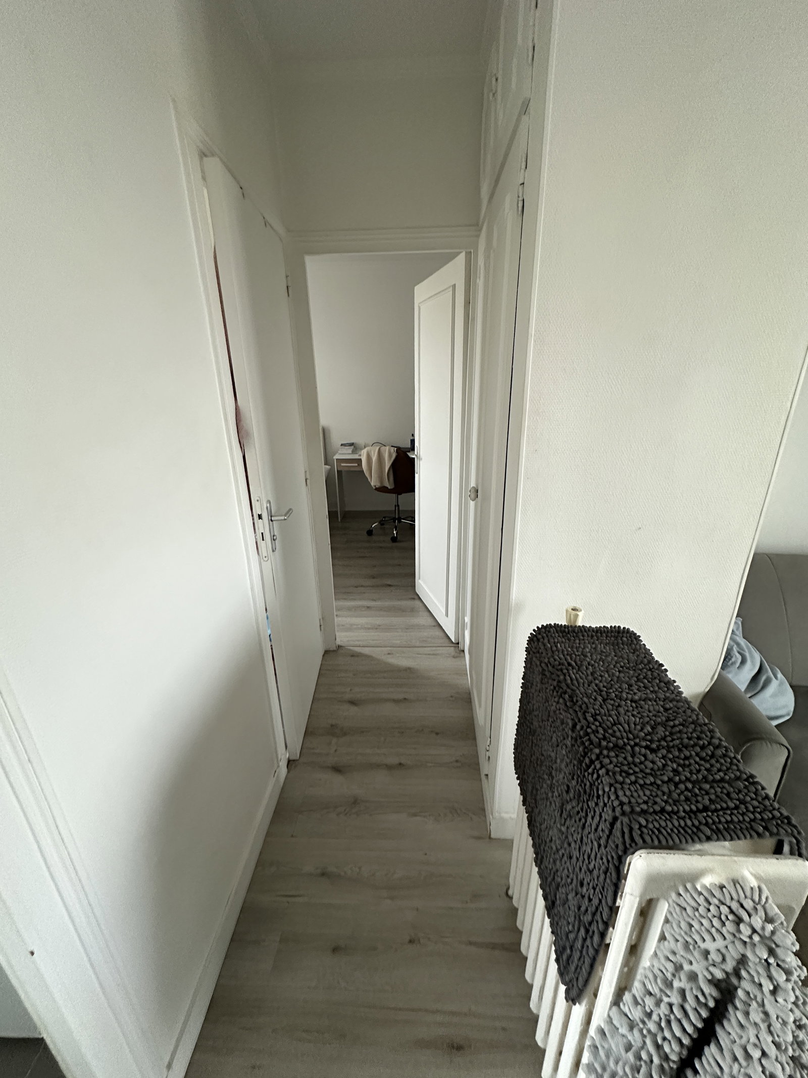 Kolokasie Colombes 659442