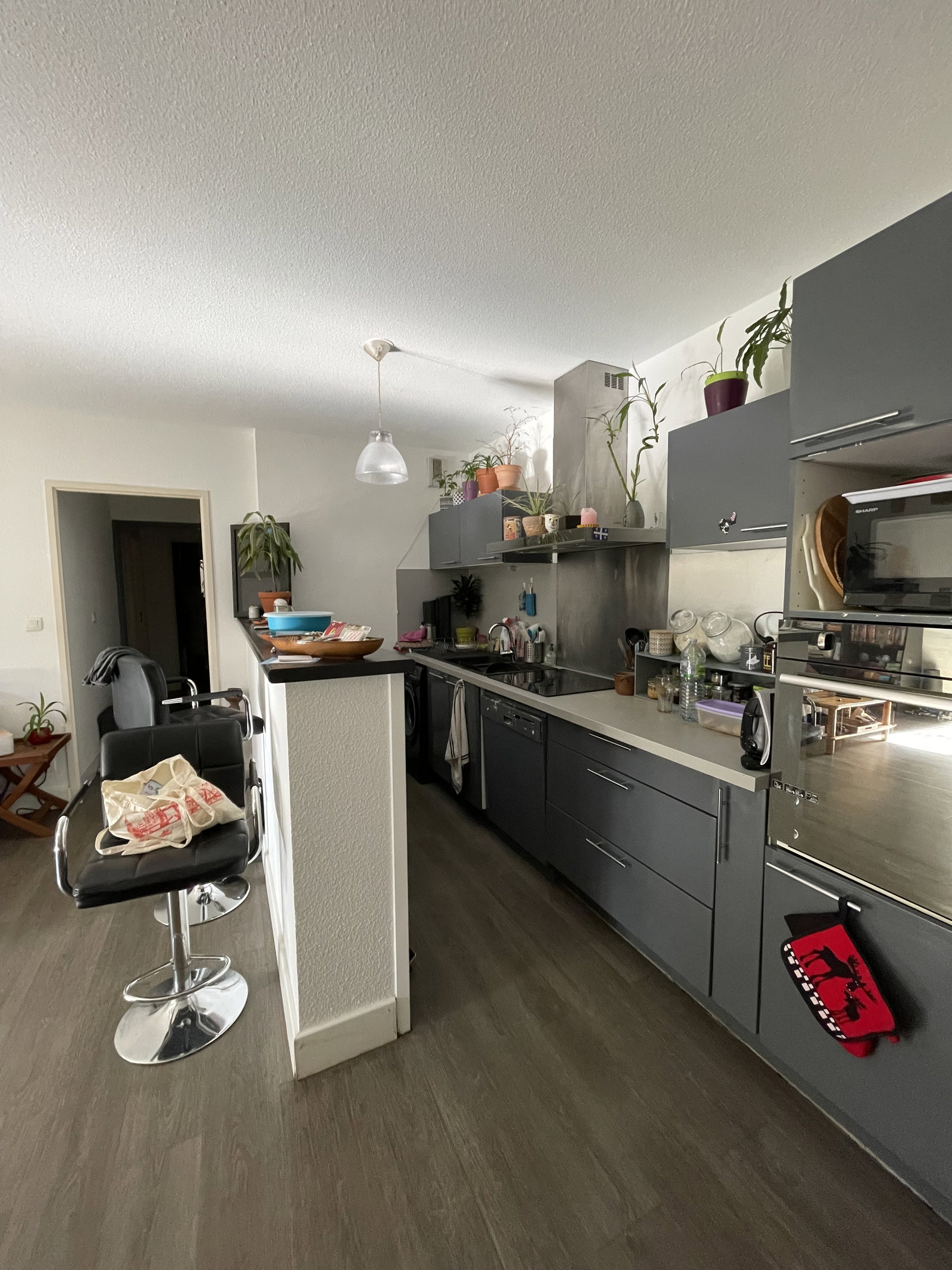 Kolokasie Toulouse 662381